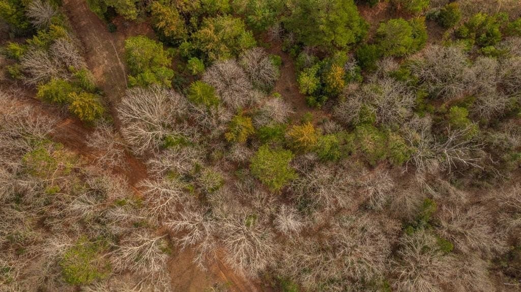 14.12 acres in Texas County gallery image 4