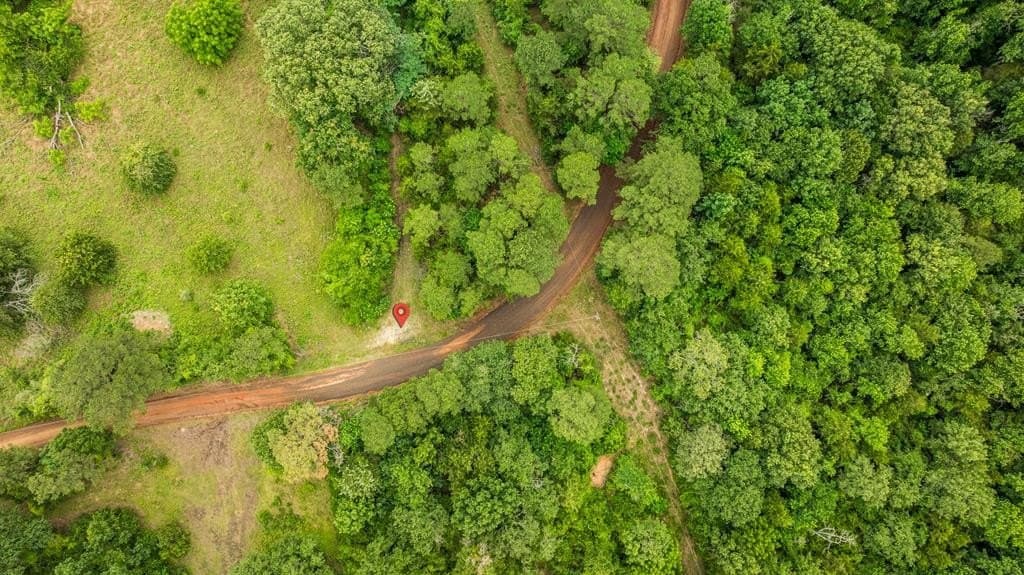 14.12 acres in Texas County gallery image 3