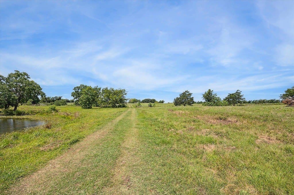 24.47 acres in Austin County gallery image 3