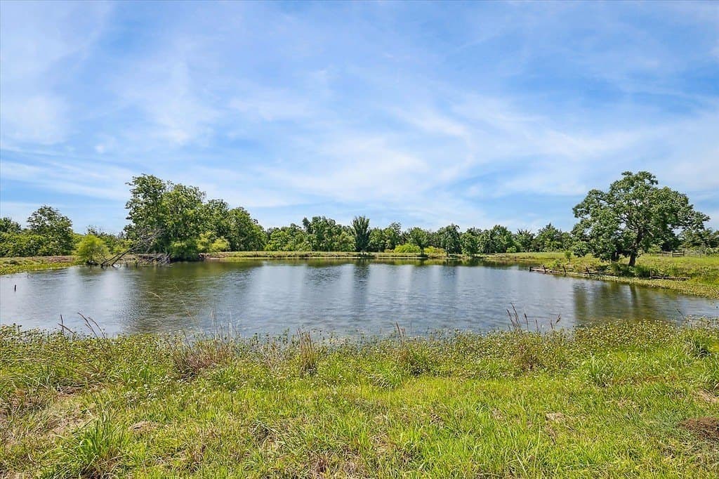 24.47 acres in Austin County gallery image 2