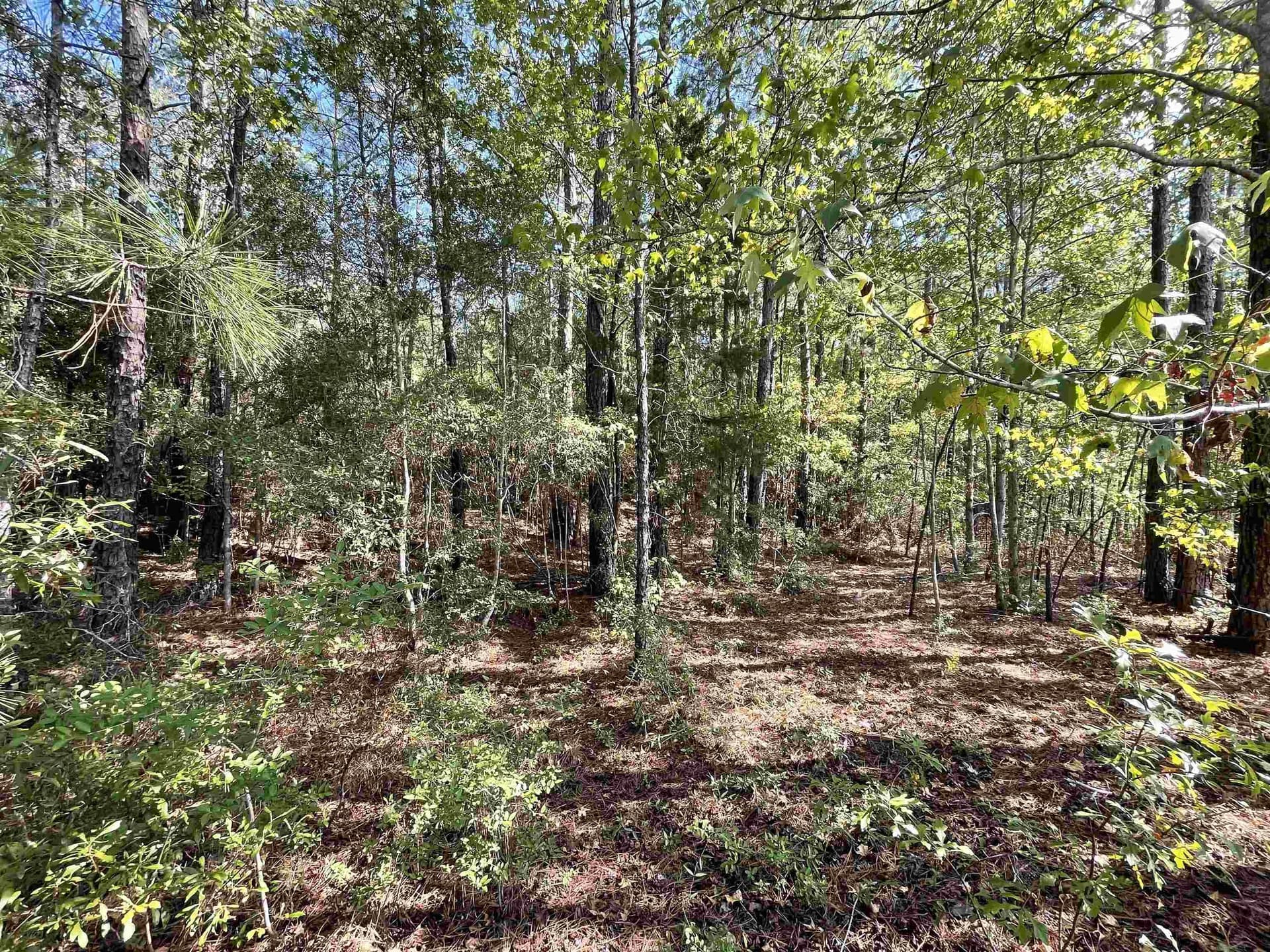 2.9 acres in Texas County - photo 4
