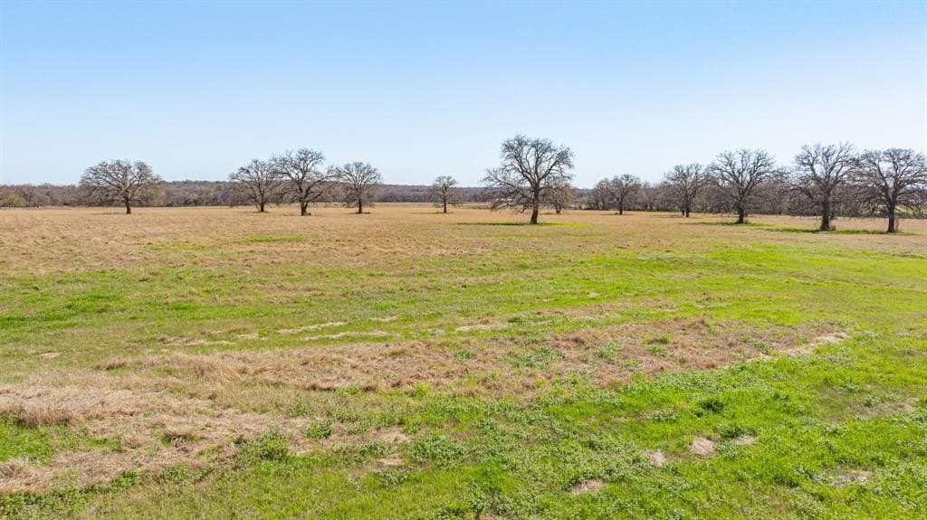 21.96 acres in Erath County gallery image 2