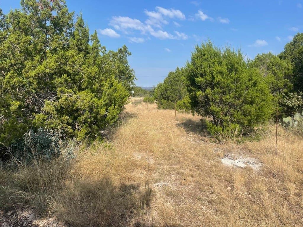7.42 acres in Real County - photo 11