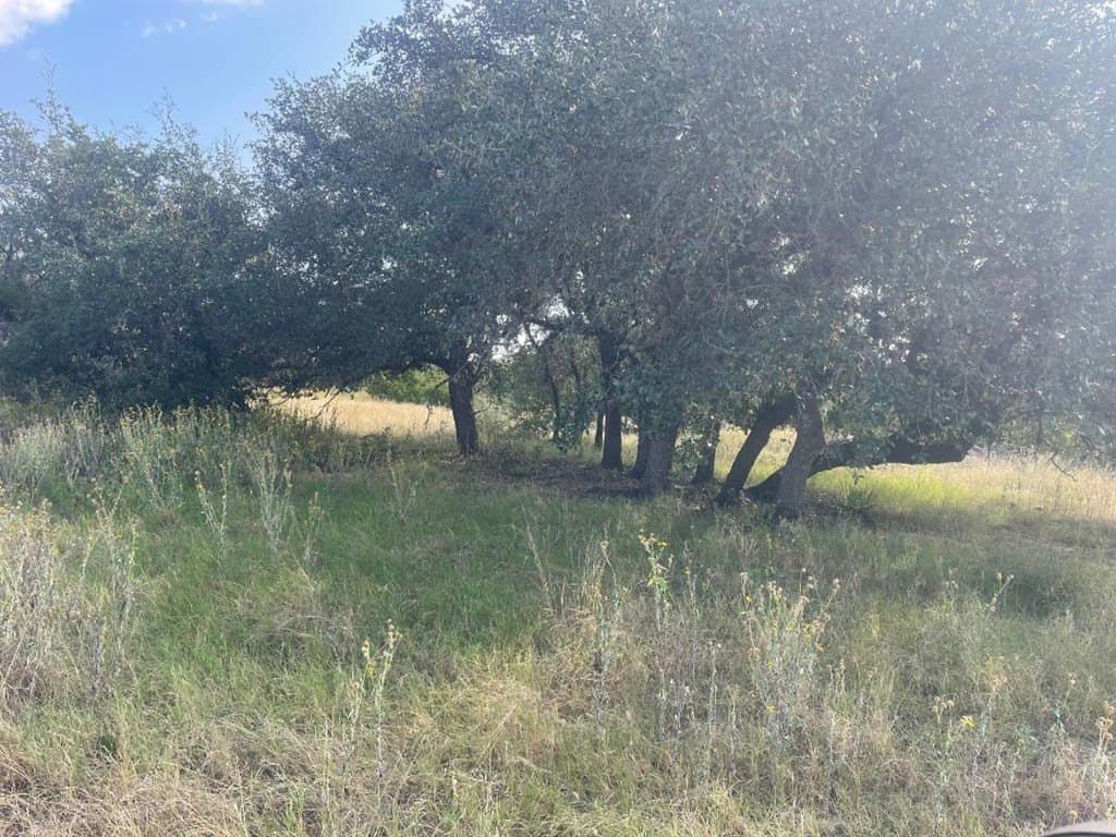 7.42 acres in Real County - photo 21