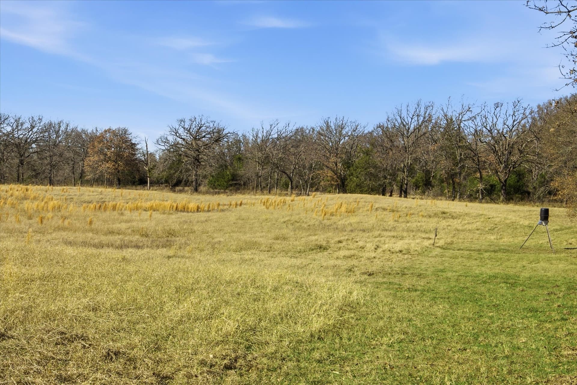 5 acres in Kaufman County gallery image 2