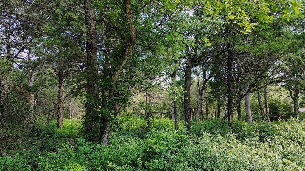 0.76 acres in Lee County - photo 4