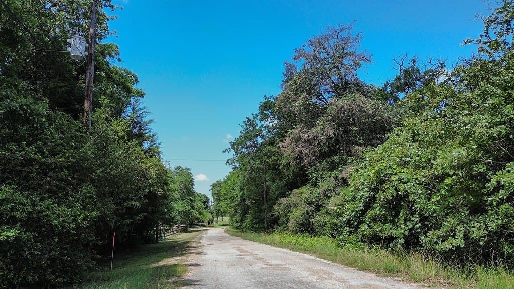 0.76 acres in Lee County - photo 2