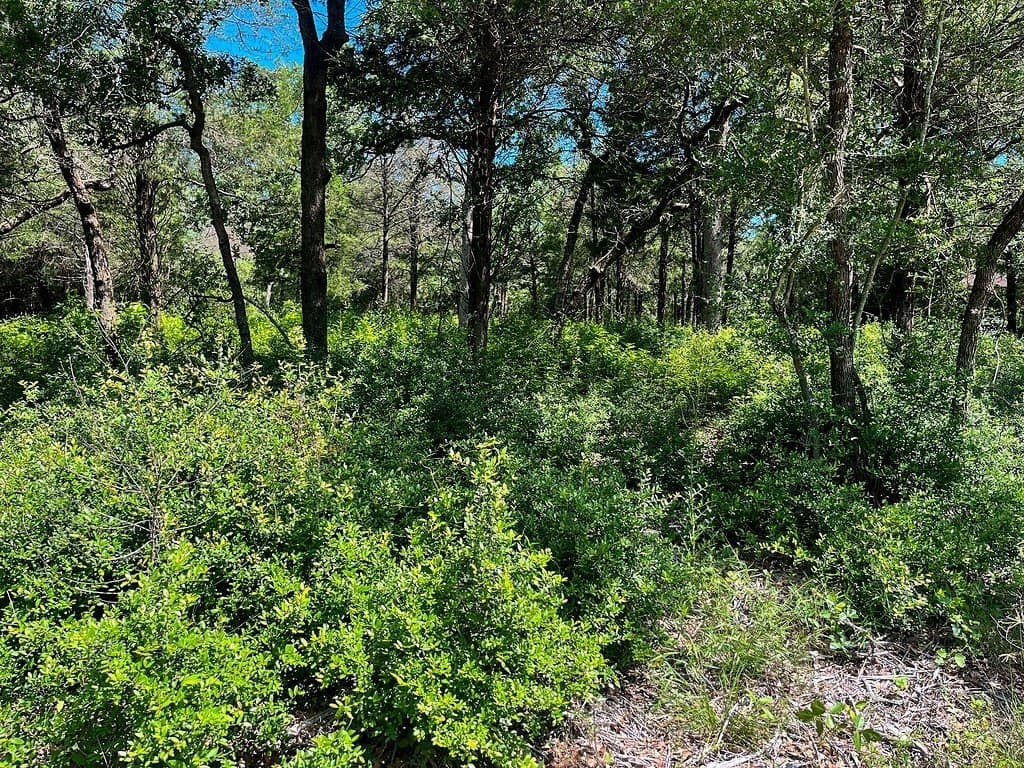 0.76 acres in Lee County - photo 5
