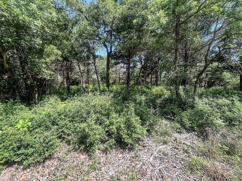 0.76 acres in Lee County - photo 8