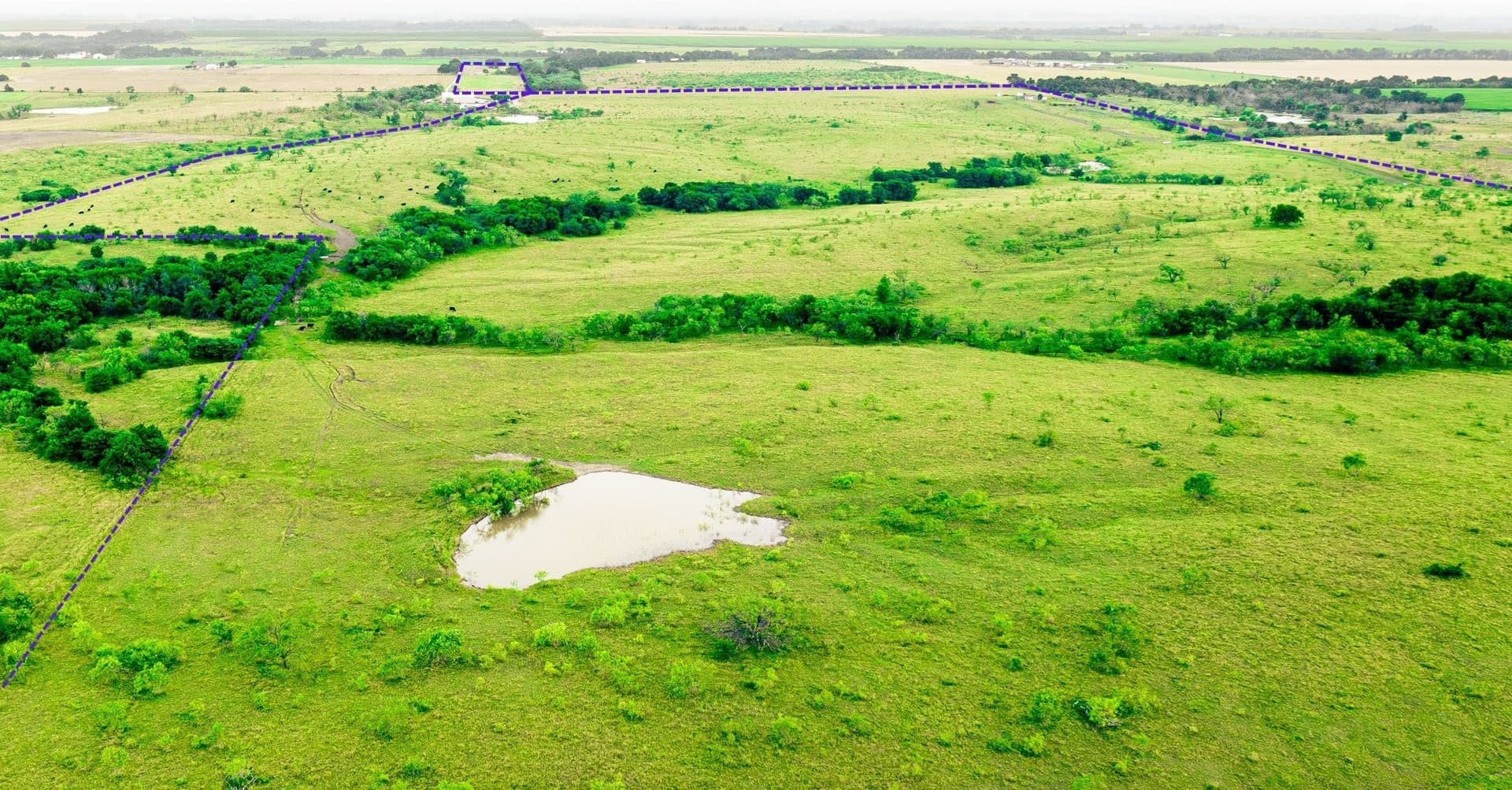 189.4 acres in Ellis County gallery image 3