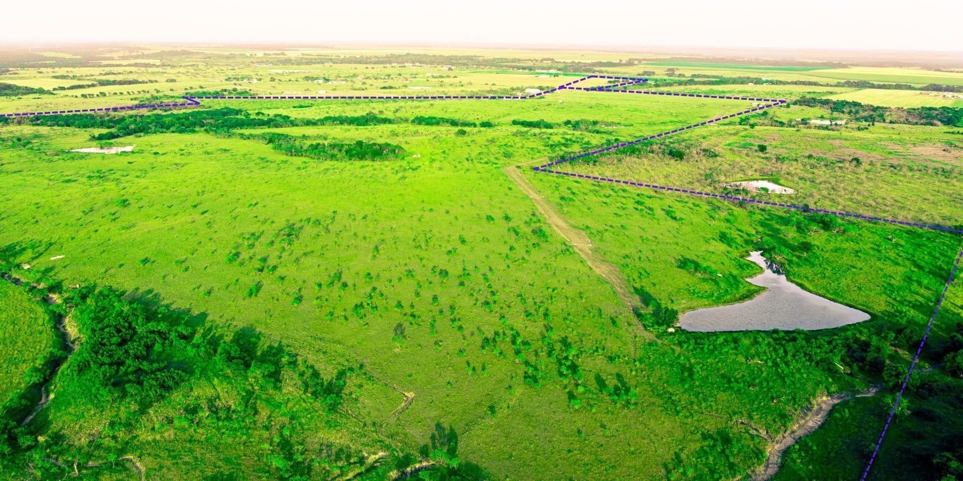 189.4 acres in Ellis County gallery image 4