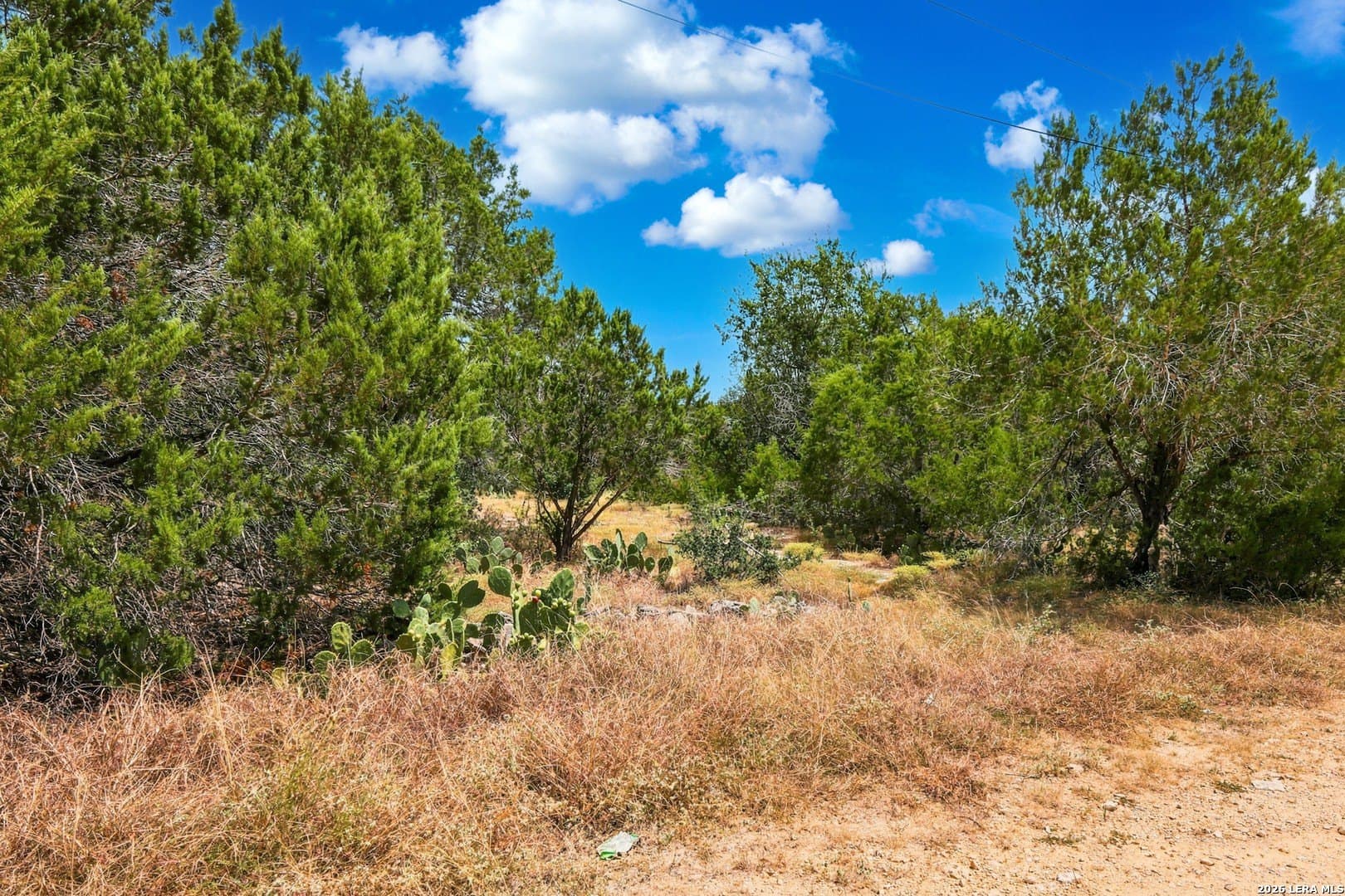 0.24 acres in Comal County - photo 19