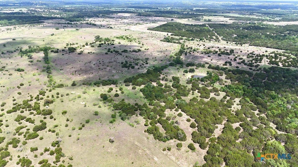 68.3 acres in Coryell County featured view