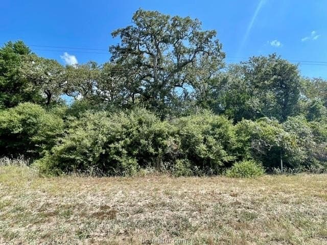 1.04 acres in Burleson County - photo 3