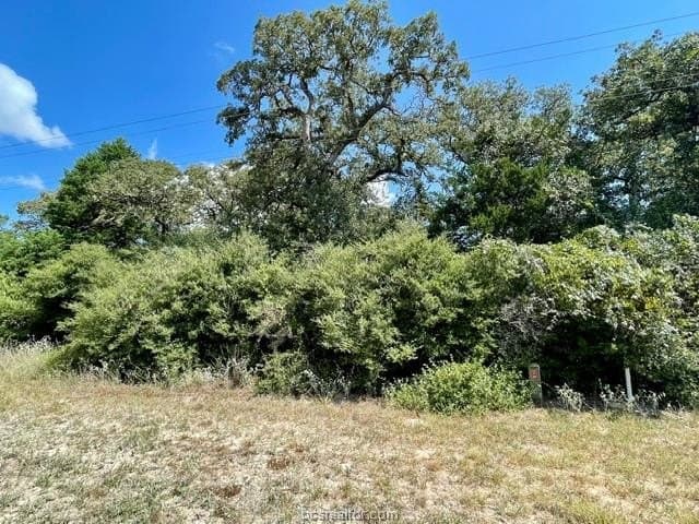 1.04 acres in Burleson County - photo 4