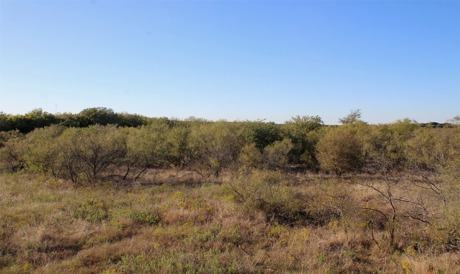 10 acres in Montague County - photo 17