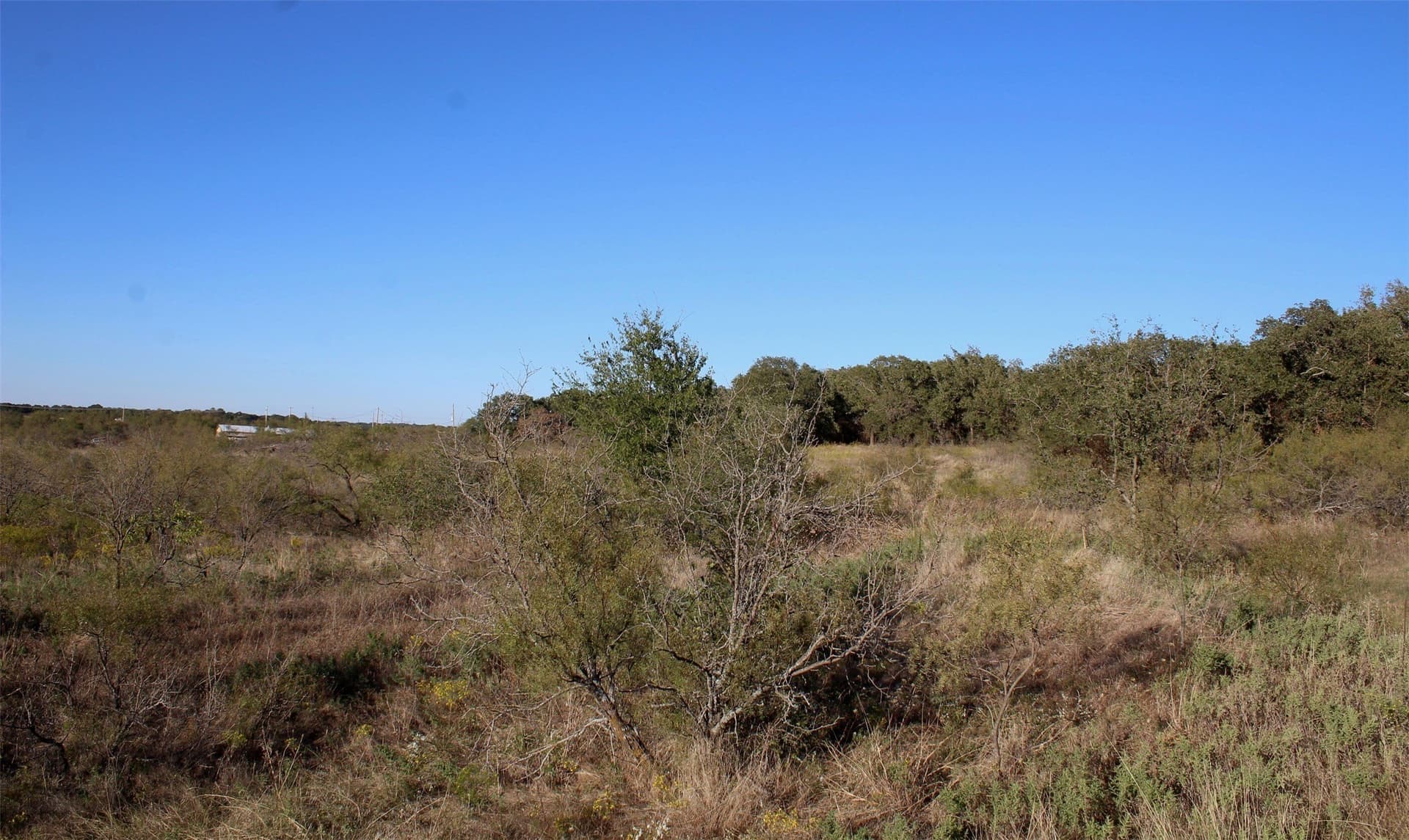 10 acres in Montague County - photo 16