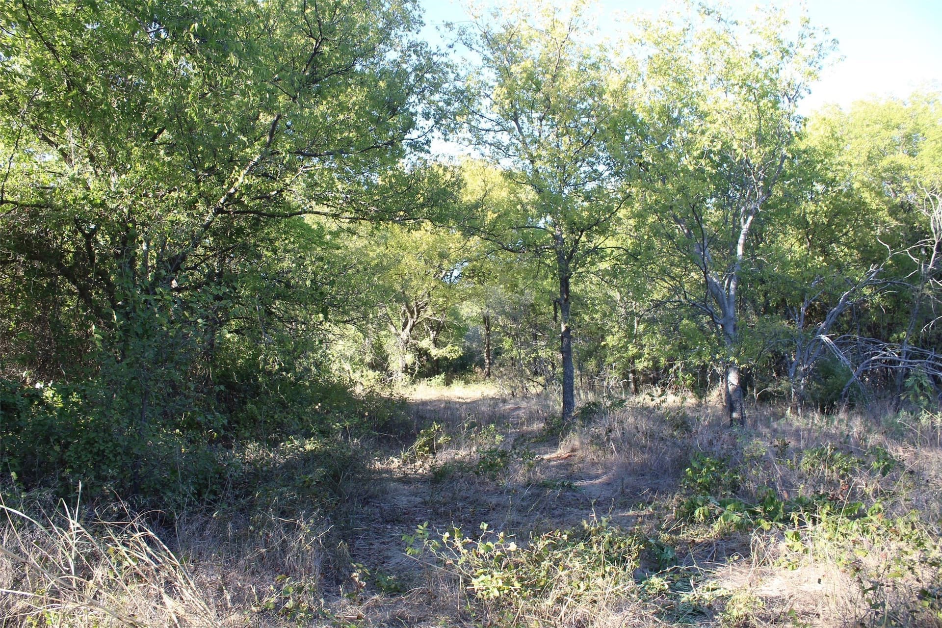 10 acres in Montague County - photo 3