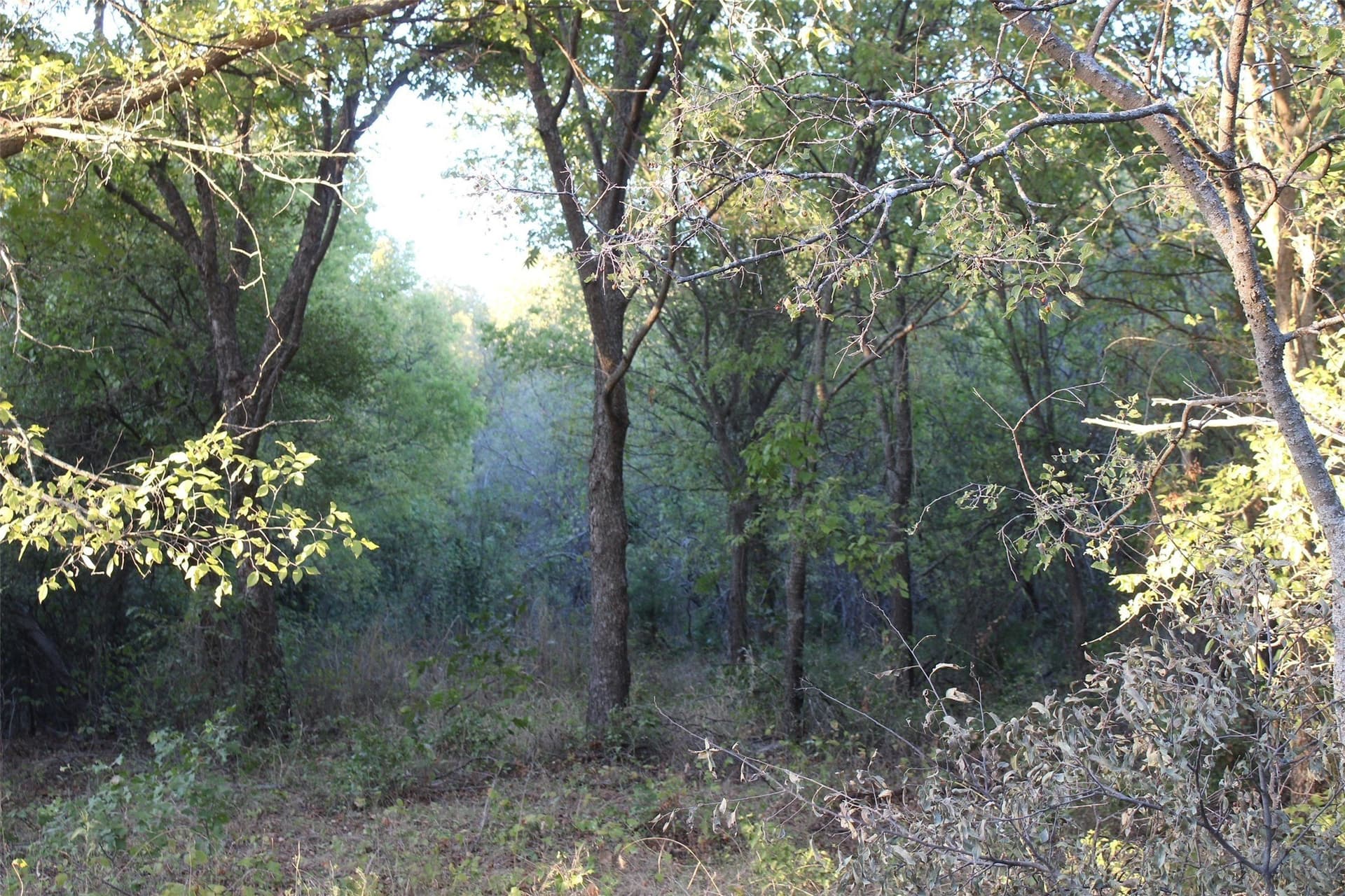 10 acres in Montague County