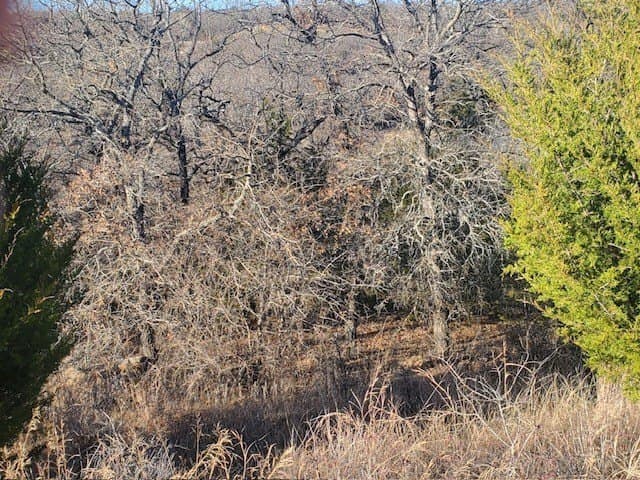 10 acres in Montague County - photo 8