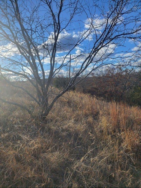 10 acres in Montague County - photo 11