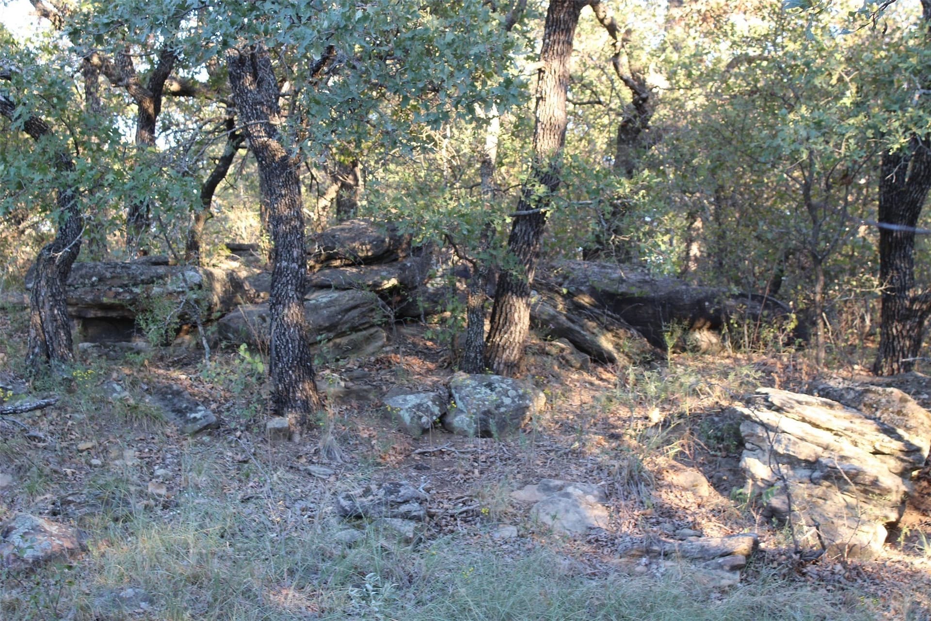 10 acres in Montague County - photo 22