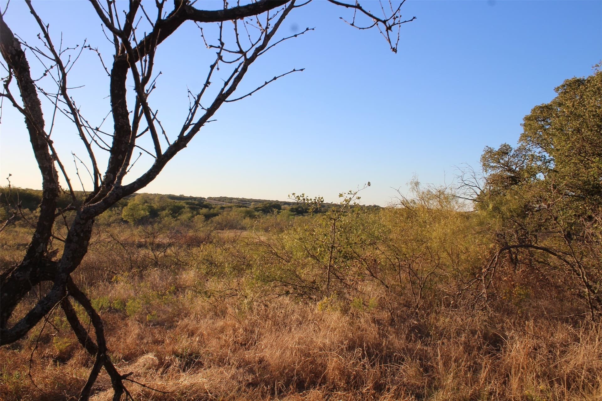 10 acres in Montague County - photo 23