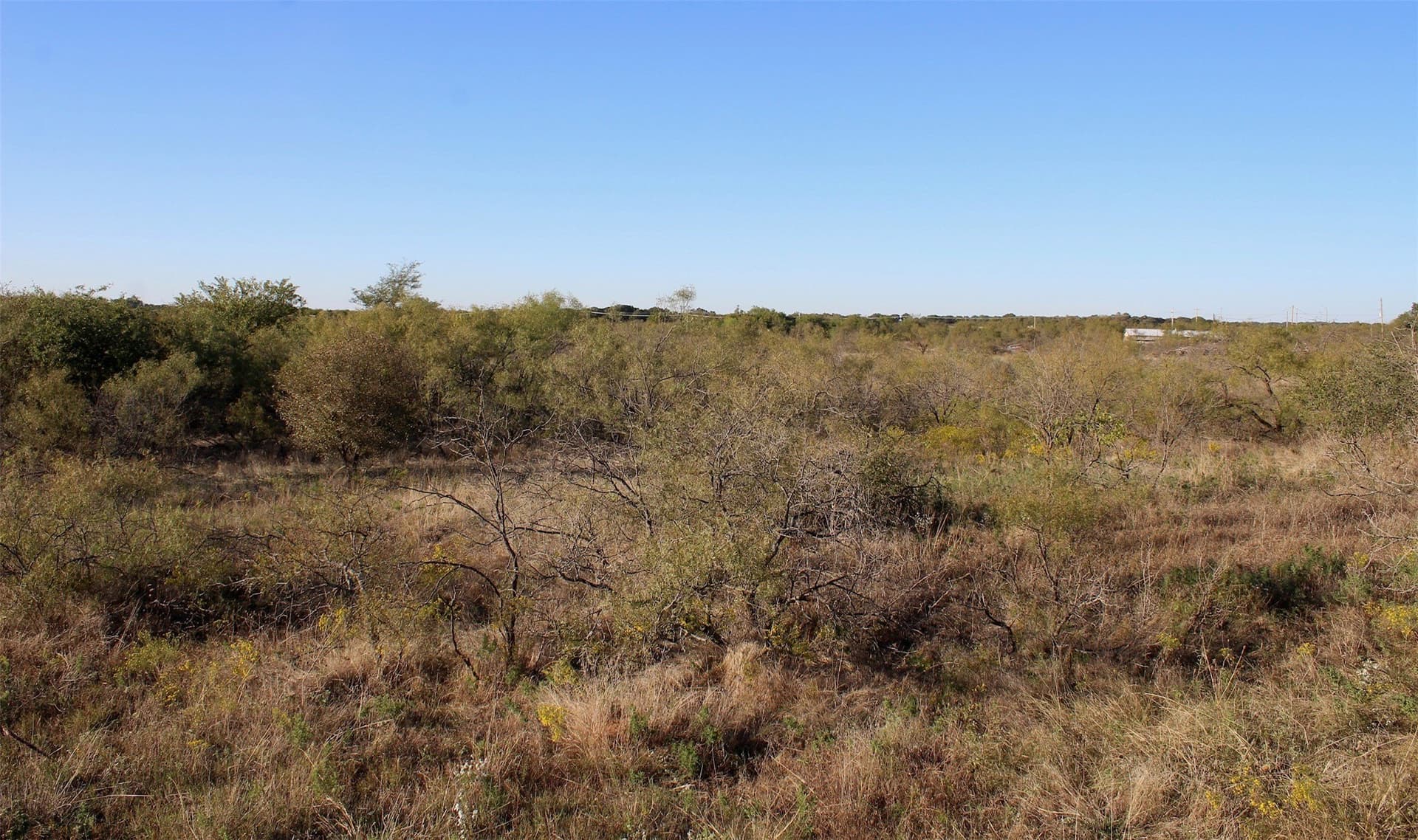 10 acres in Montague County - photo 14
