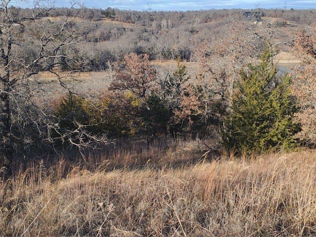 10 acres in Montague County - photo 5