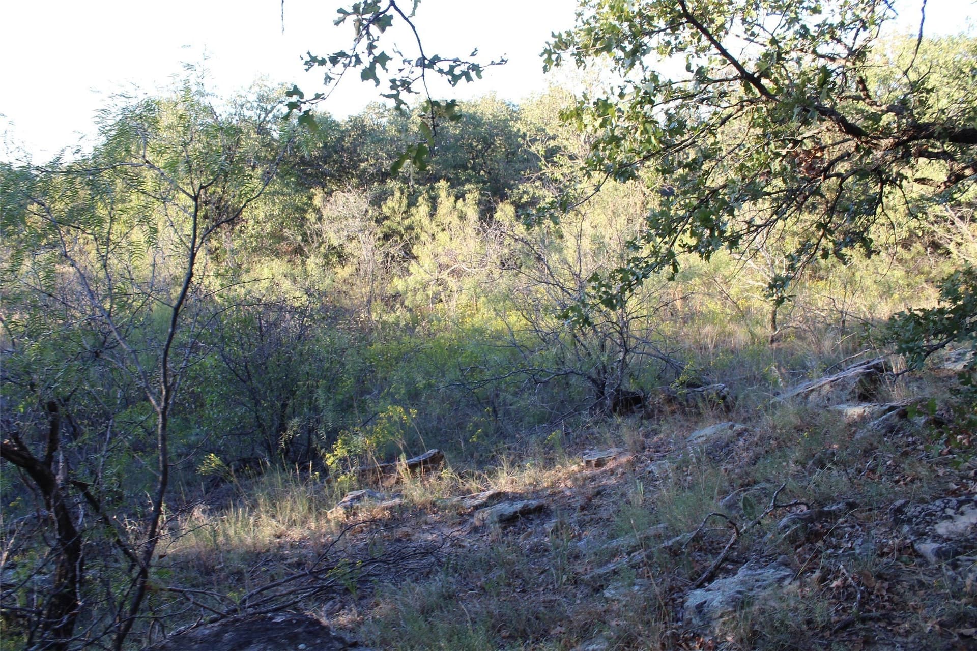 10 acres in Montague County - photo 19