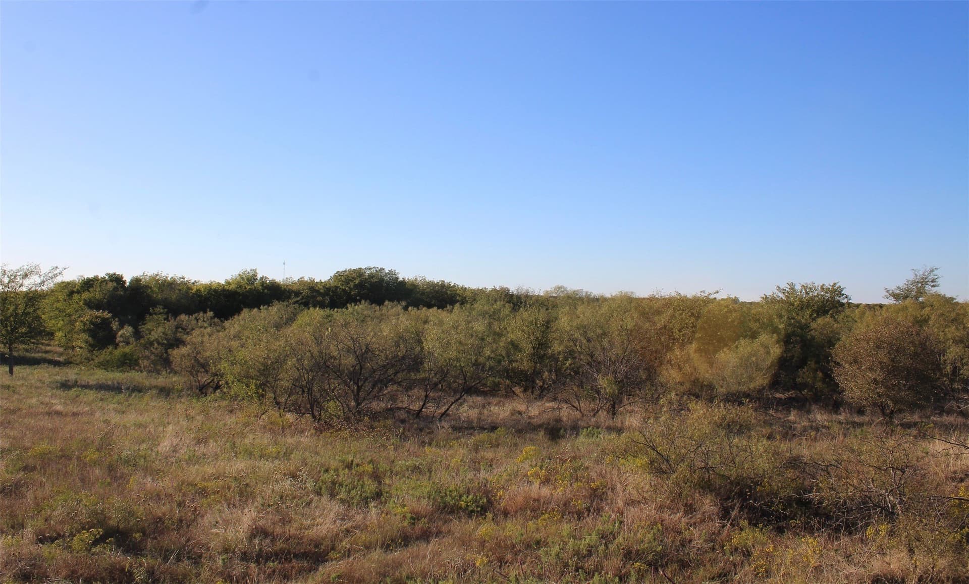 10 acres in Montague County - photo 15