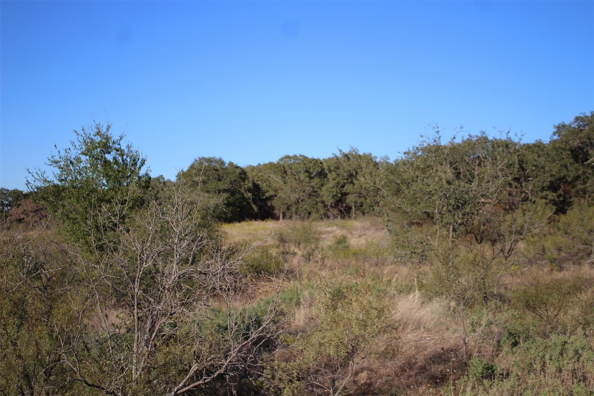 10 acres in Montague County - photo 18