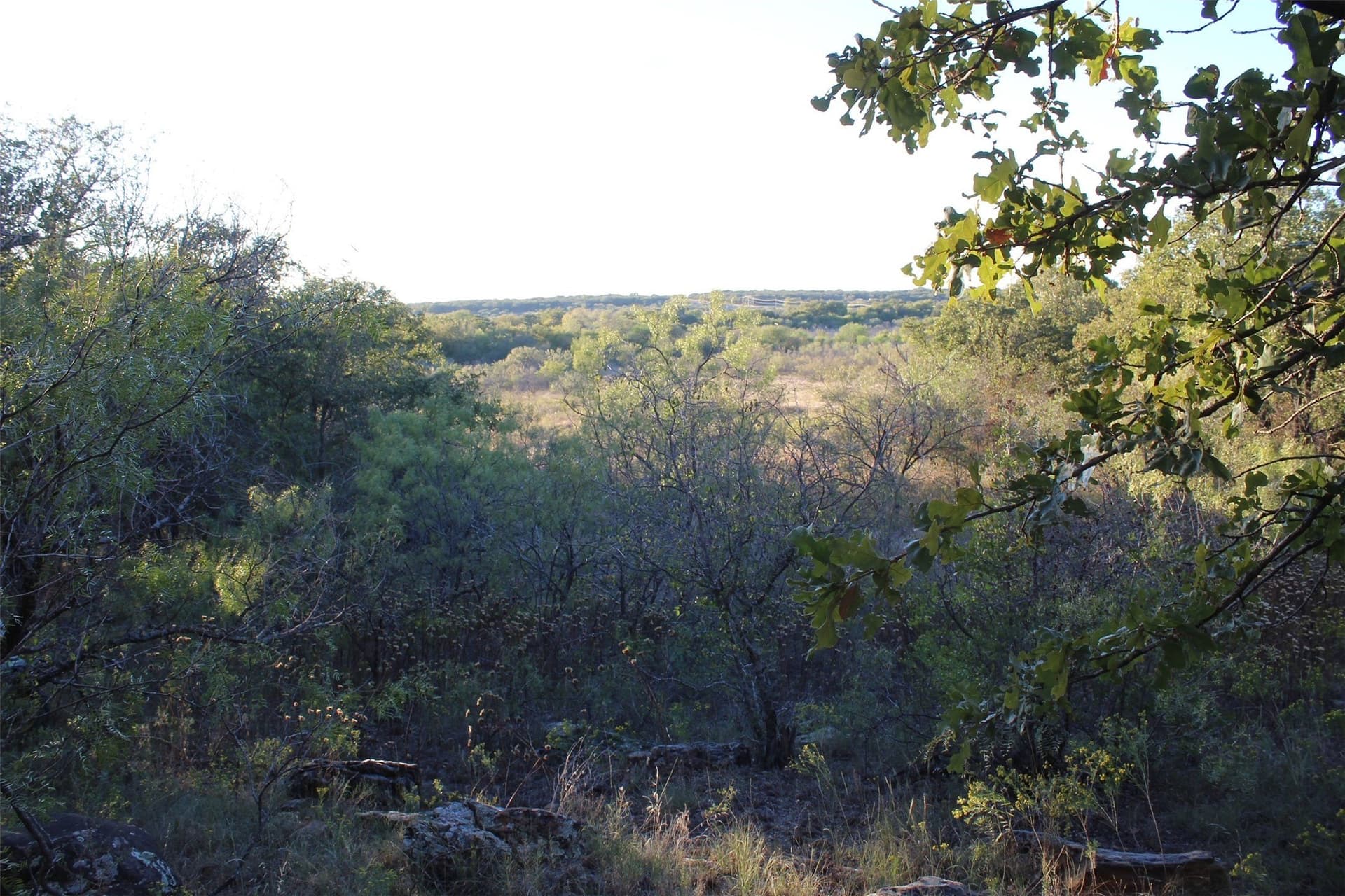 10 acres in Montague County - photo 20