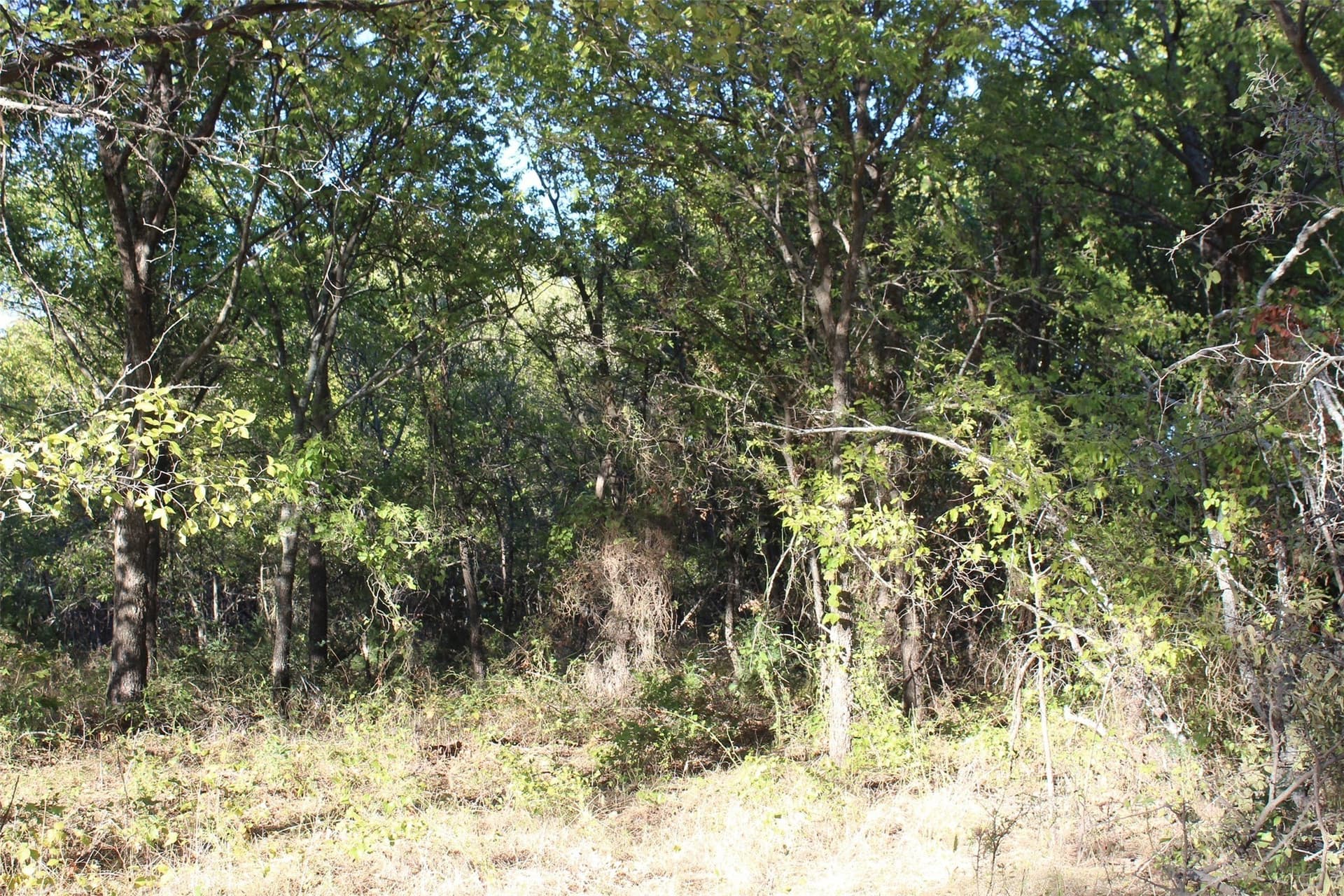 10 acres in Montague County - photo 2