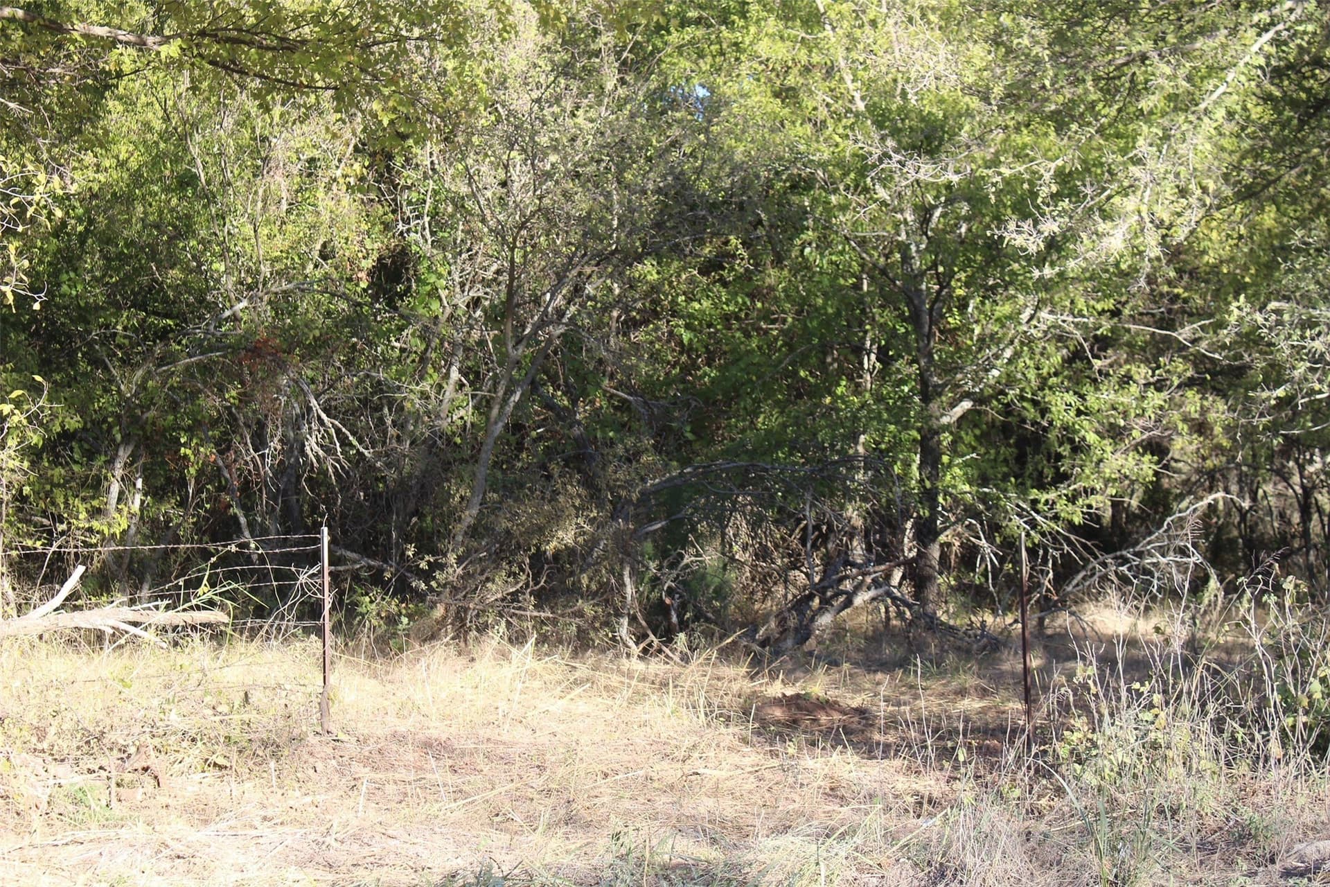 10 acres in Montague County - photo 13