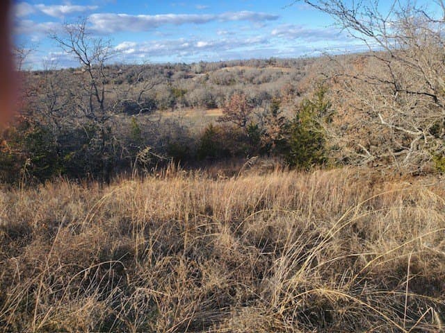 10 acres in Montague County - photo 4