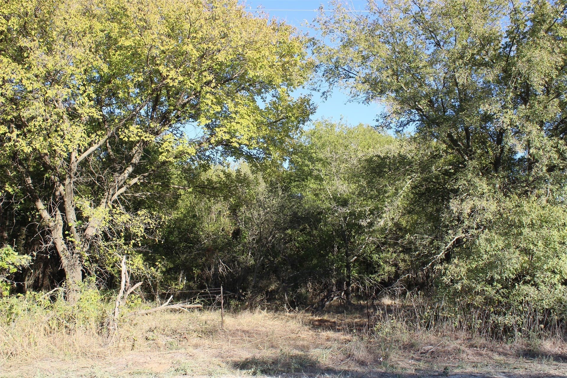 10 acres in Montague County - photo 10