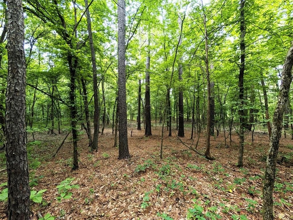 66.4 acres in Cherokee County featured view