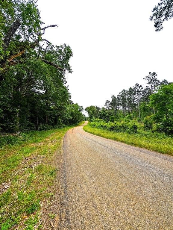 66.4 acres in Cherokee County gallery image 3