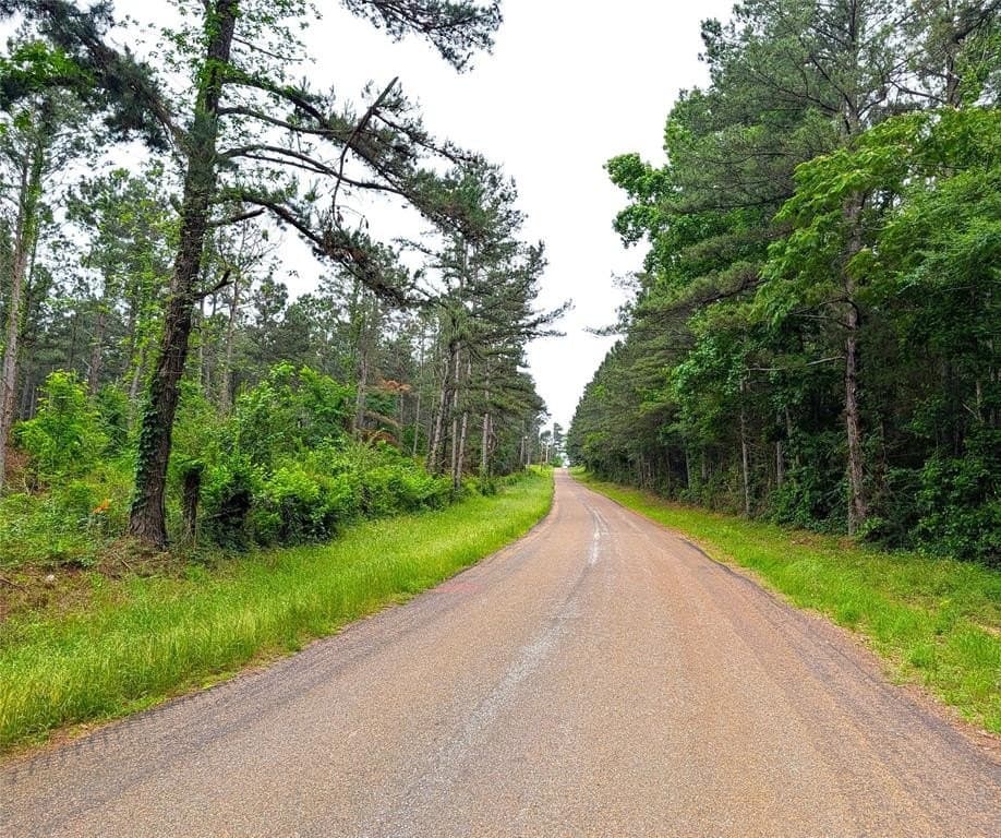 66.4 acres in Cherokee County gallery image 2