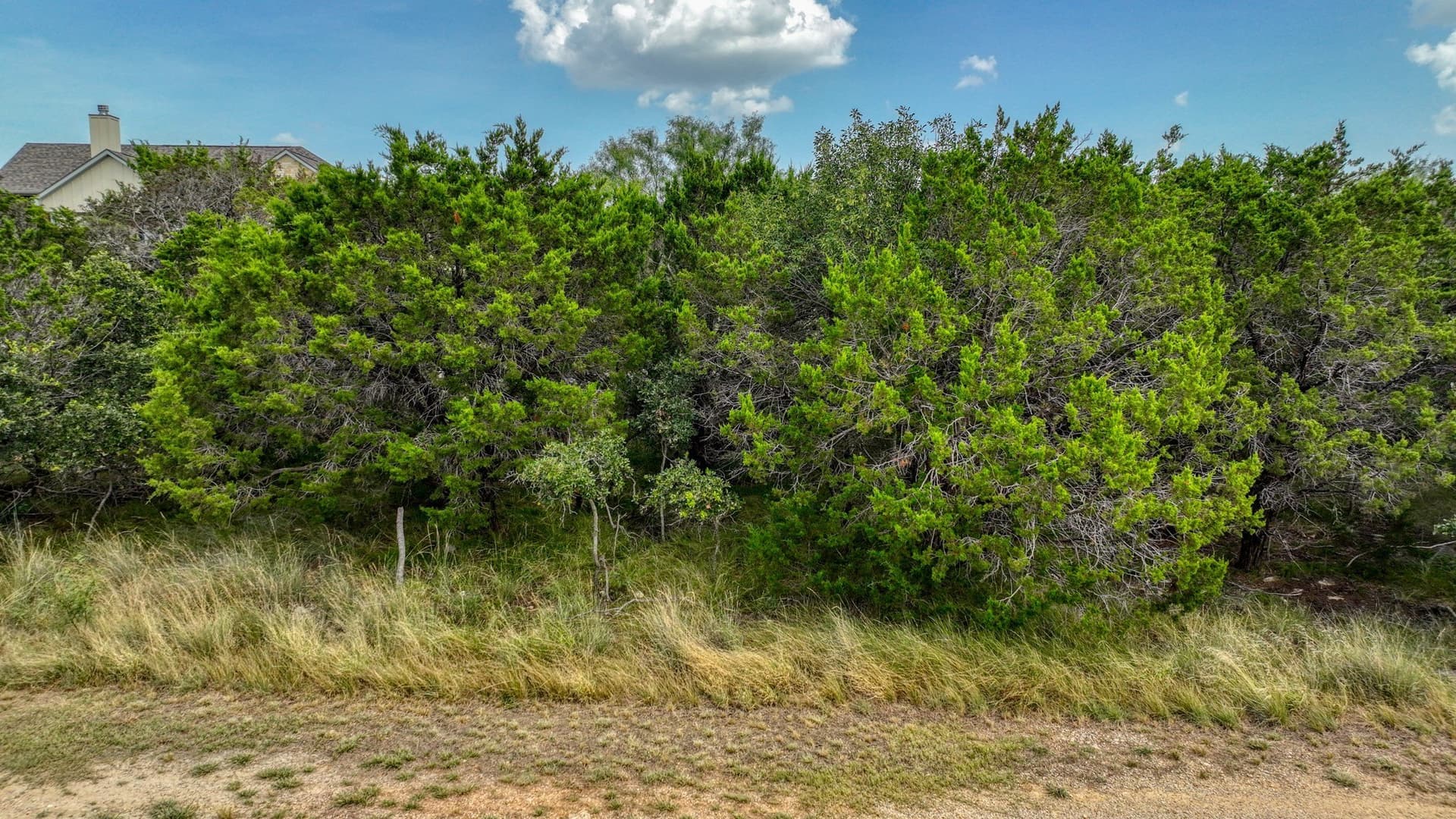 0.19 acres in Palo Pinto County - photo 13