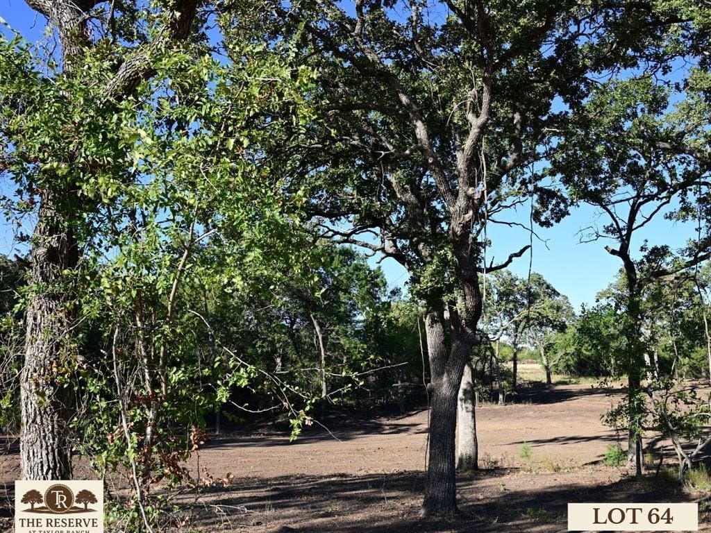 1.98 acres in Parker County gallery image 2