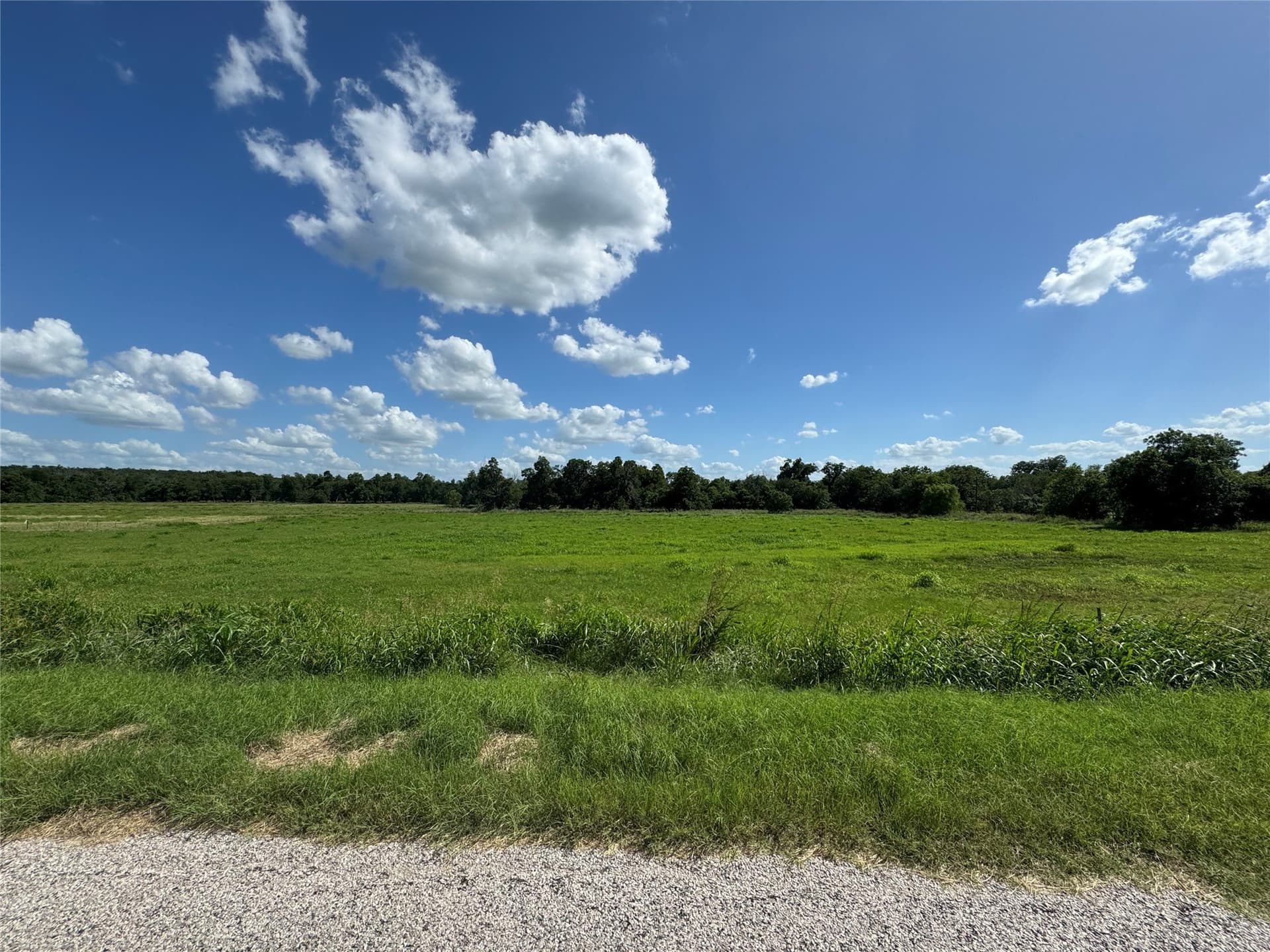11.52 acres in Bell County - photo 13