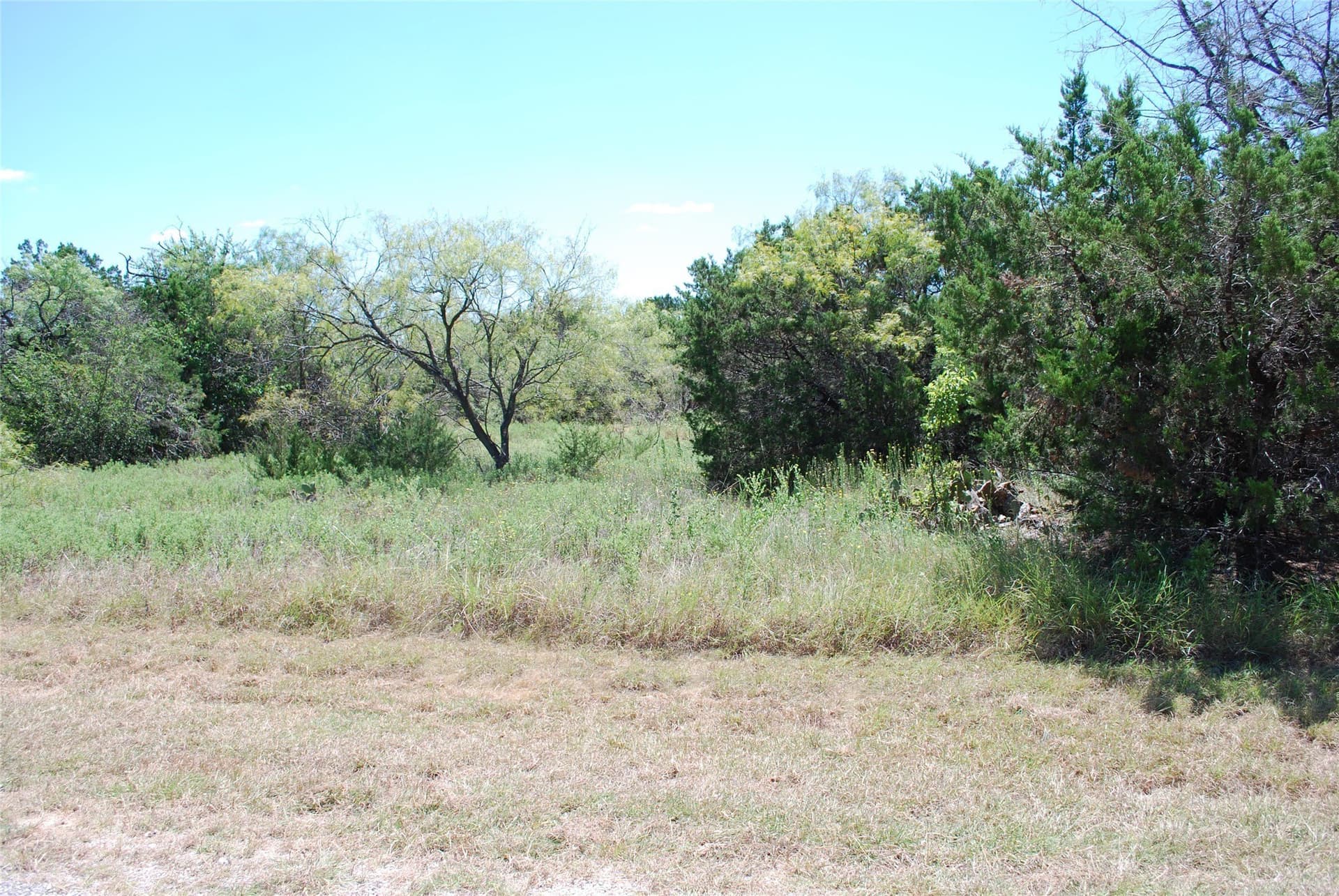 0.33 acres in Hill County gallery image 2