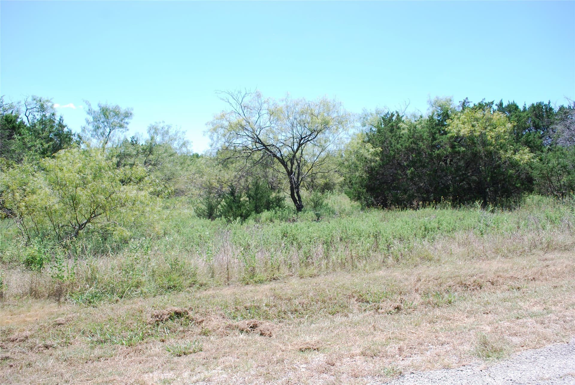 0.33 acres in Hill County gallery image 3