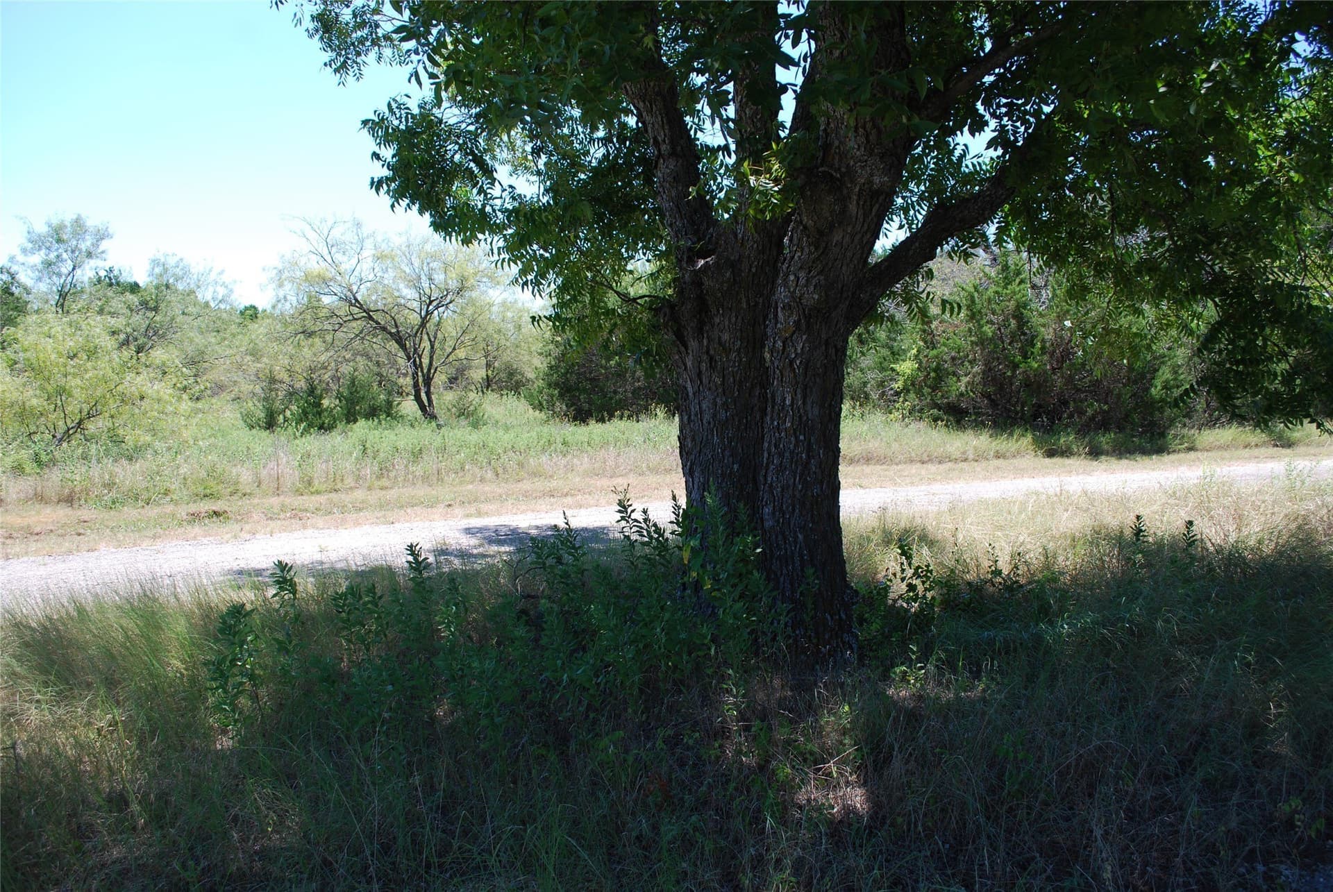 0.33 acres in Hill County featured view