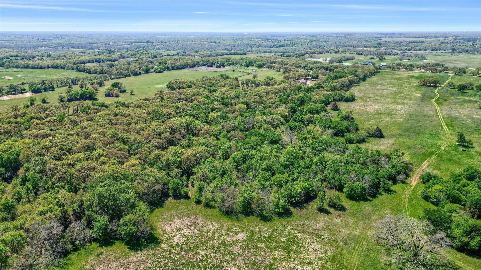22 acres in Grayson County - photo 16
