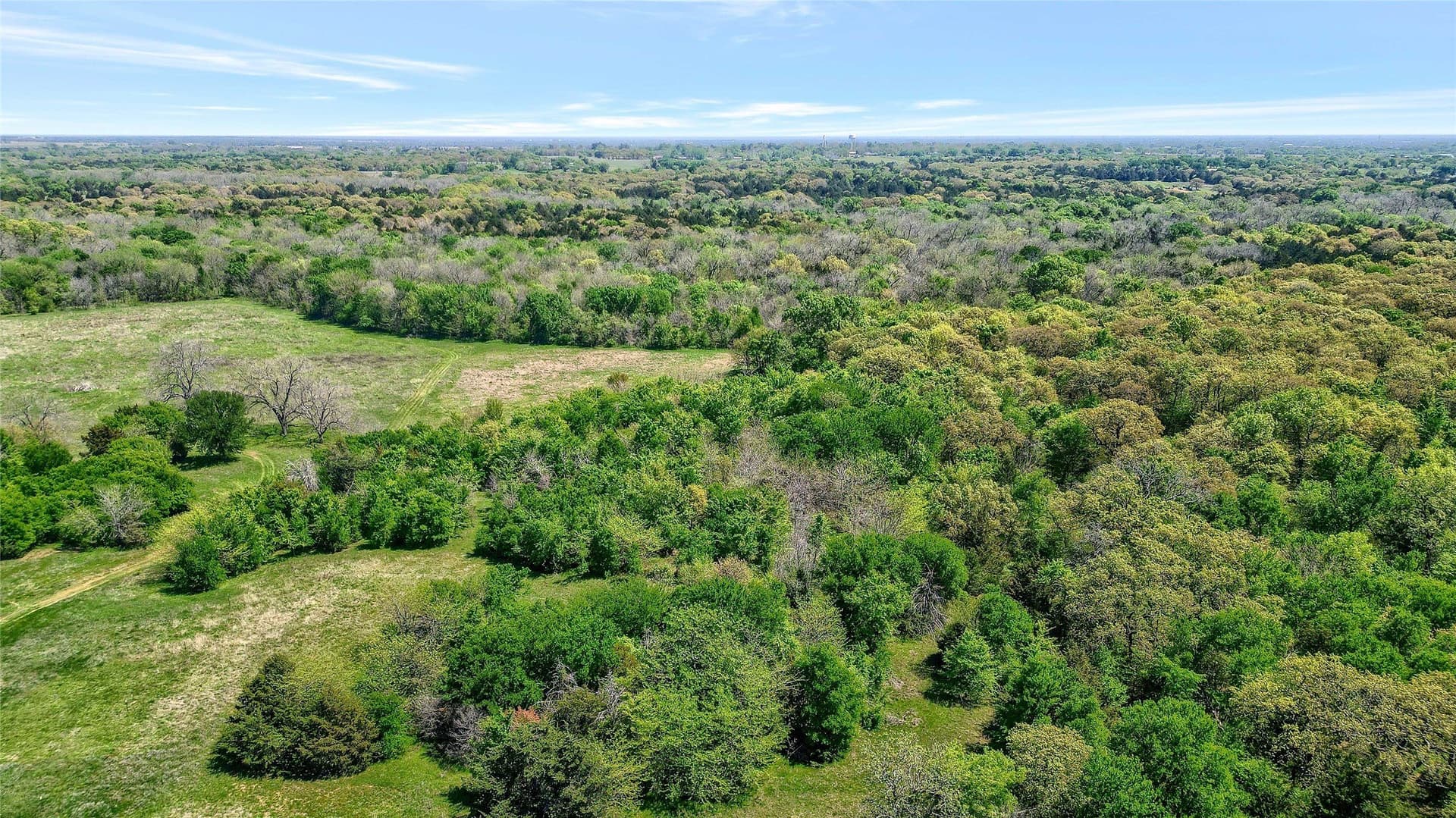 22 acres in Grayson County - photo 10