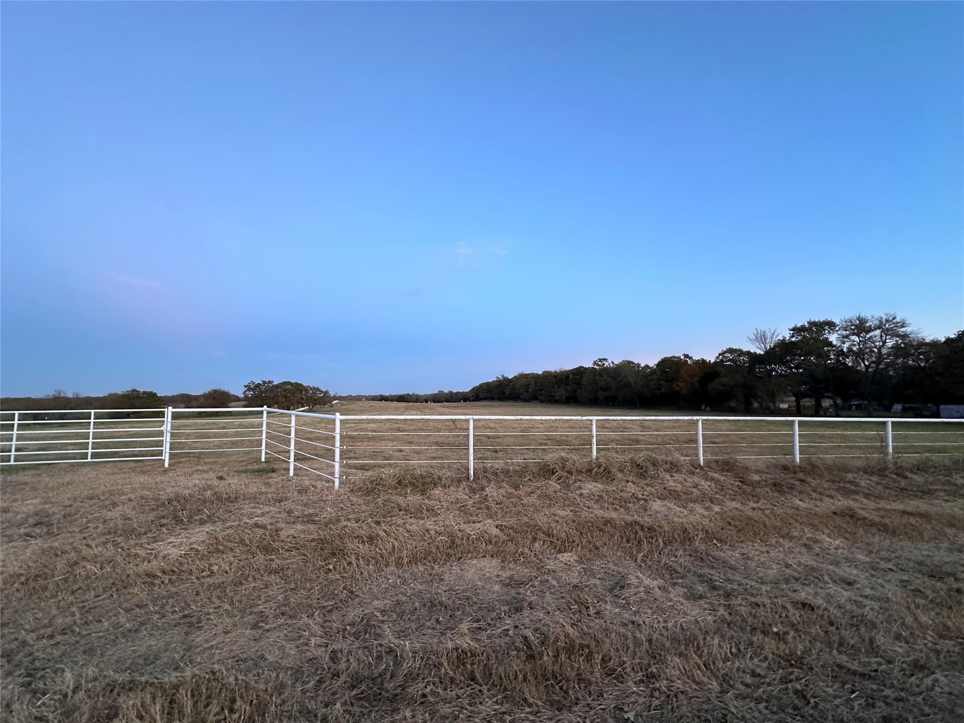 22 acres in Grayson County gallery image 2