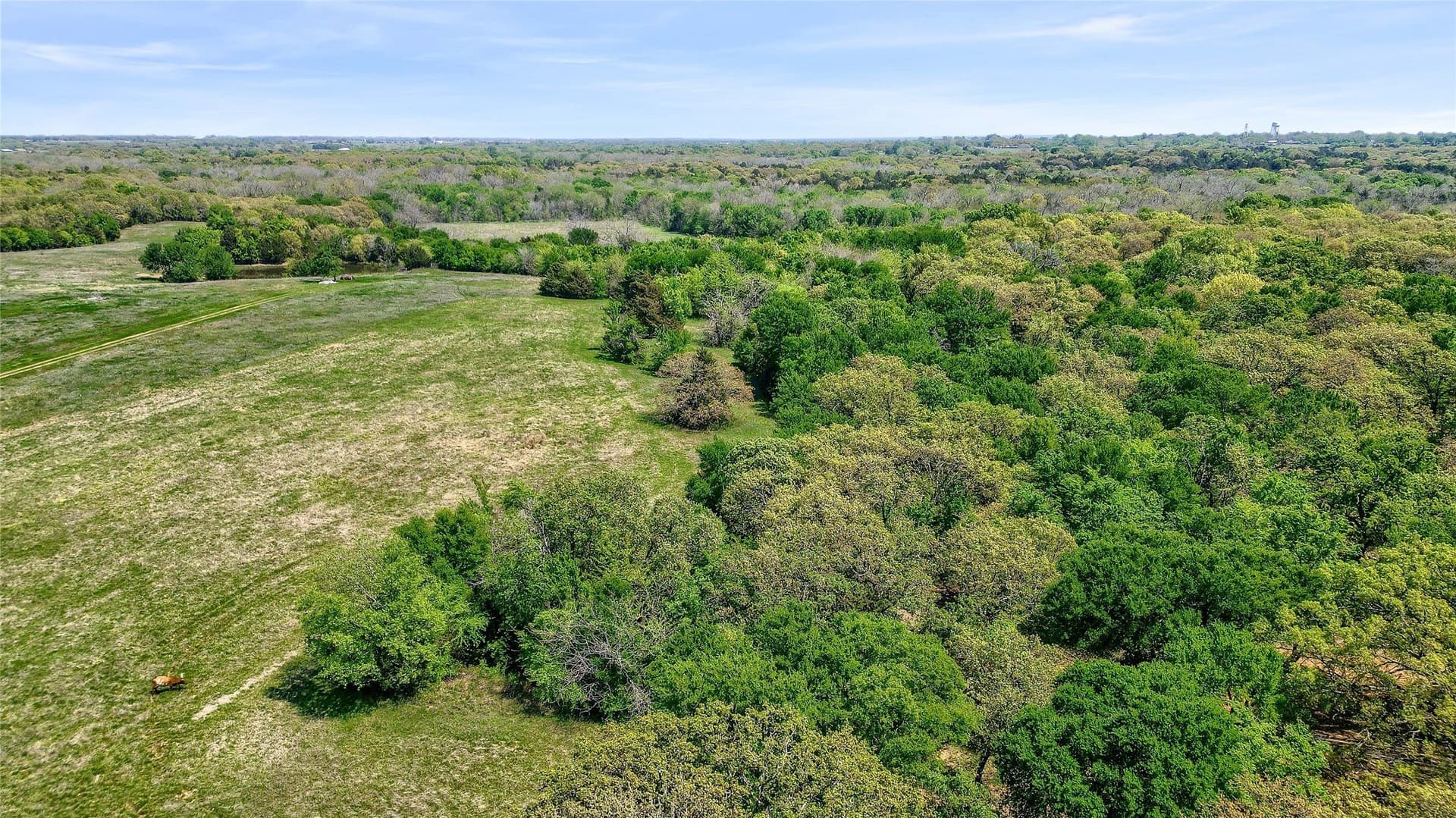 22 acres in Grayson County - photo 9